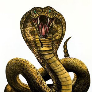 KingCobra