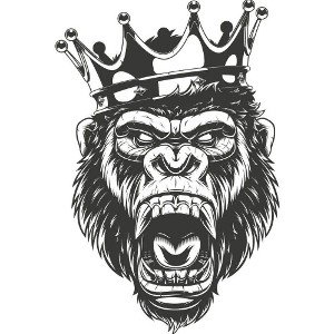 The Prince of Rap