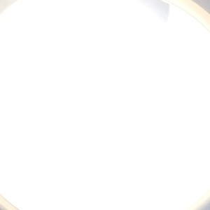 THE LIGHT