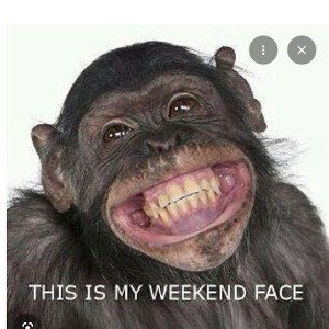 WEEKEND 
