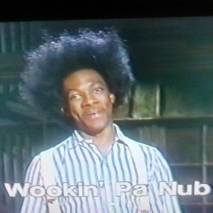 WOOKIN PA NUB