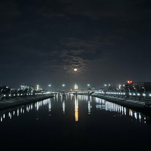 Сердце воет как волк на луну