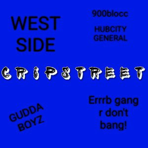 CRIP STREET 9×💯