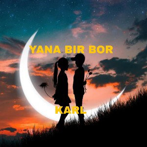 Yana bir bor 