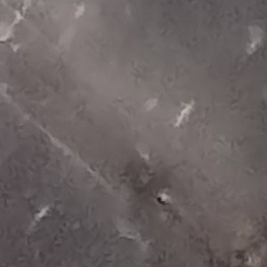 hgf