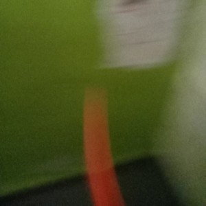 zxcsav