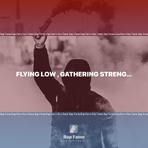 flying low , gathering strength!
