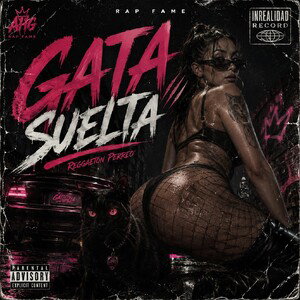 GATA SUELTA 
