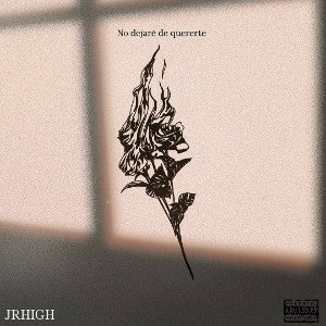 No dejaré de quererte 