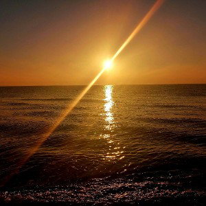 Shine