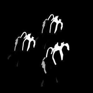 Dark Matter (09:27)