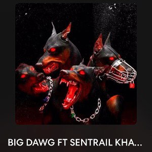 Savage Azz Shawn Ft Sentrail Khaos-BIG DAWGZ(Remix) 