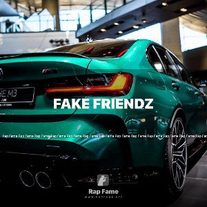 fake friendz