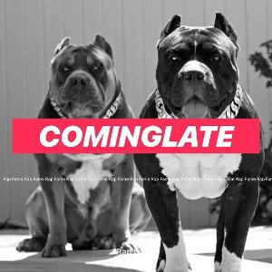 Cominglate
