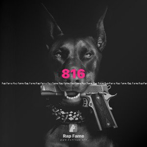 816