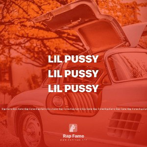 lil pussy
