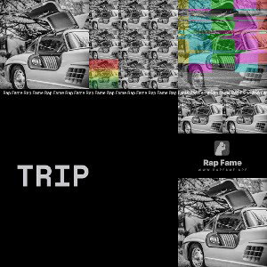 Trip