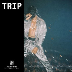Trip