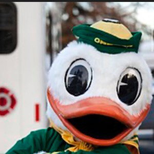 Oregon duck 