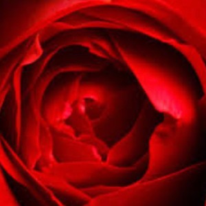 CrImSoN