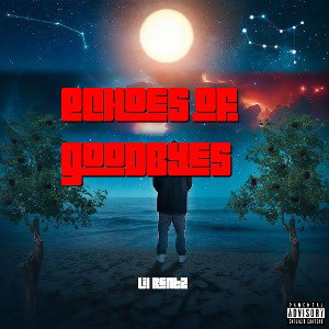 Echoes of Goodbyes