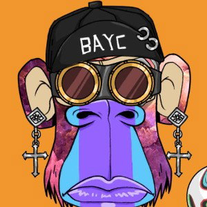 bayc