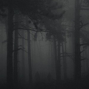 haunted forest freestyle (feat. J MONEY)