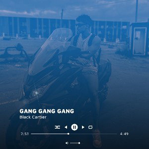 GANG GANG GANG