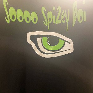 DoH 2 Style