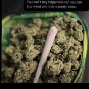 The Weed Mek Me Feel High💨🚬 