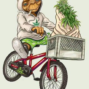  laugh at my  weirdo in my hood .   smh 