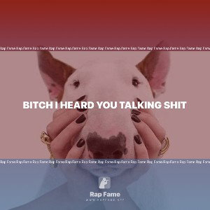 bitch I heard you talking shit