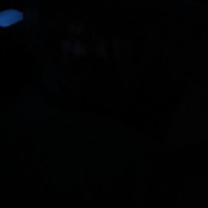 I'm the star