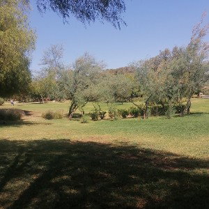 درب امي 