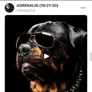 ADRENALINE 2