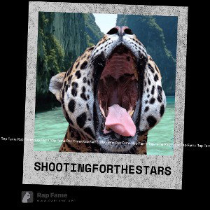 shooting for the stars 