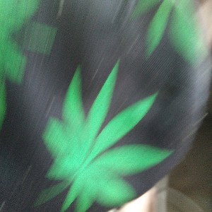 higher times highe rmind