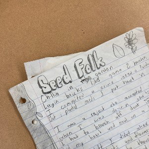 Seed Folk V2