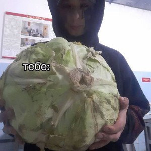 трипы и флешбеки