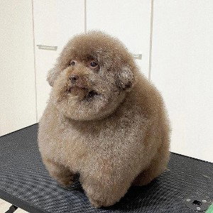 На верх