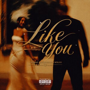 Thoma$-LikeYou(ft,RAHAMAN&D M3LLO)