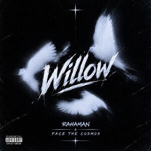 Willow (ft. Face The Cosmos)