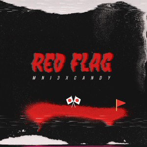 Red Flags 