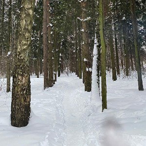 Оттепель в душе моей - ждет апрель