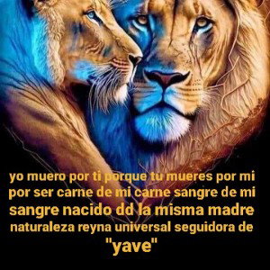 yo demuestro flow 
