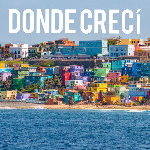 ALEXEID - DONDE CRECI (Audio Oficial) 