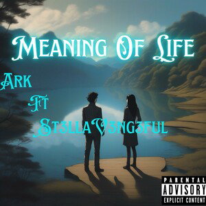 Meaning of Life Ft. St3llaV3ng3ful