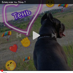 Анастасия Тень - Свет для улиц🫶 