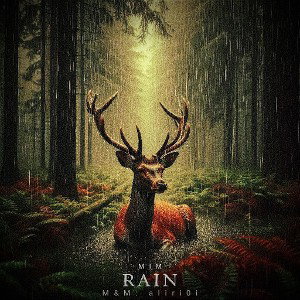RAIN   (بارون)