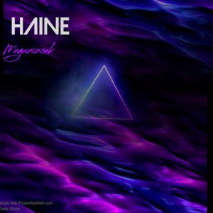 11.Haine
